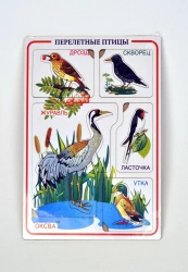 Migratory birds" inset frames
