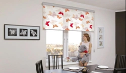 Interior Window Curtains