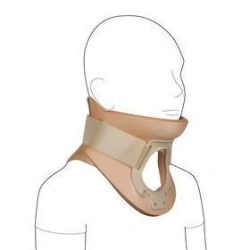 Head holder of rigid fixation