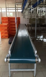 Belt conveyor for transferring poultry