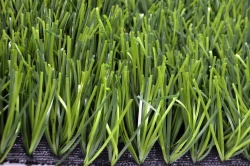 Grass 45Z/12 artificial grass surface