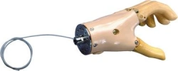 Brush 3B 027-01 with passive grip