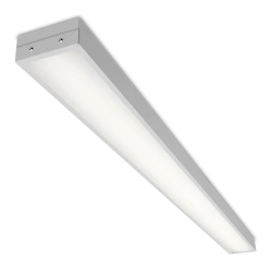 WOLTA PRO GIMNAZIST DPO02-54-101-5K 54W 5000K IP40 Frosted luminaire