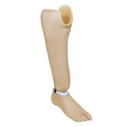 Foot prosthesis PN0-06