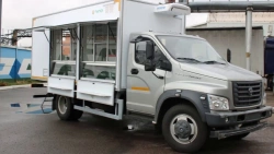 Trucks with diesel engine type 47123, modification 47123D on the basis of GAZ chassis, type C4, modification C41RB3