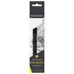 Graphite pencils "VKF" "Project" 6B-4010 Set of sharpened assorted graphite pencils 8 x 6 pcs.
