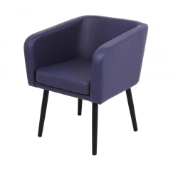 Metal frame chair. model SM4