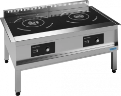 Electric induction cooker PEI-2K, "NEW ENERGY" trade mark