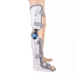 Ankle and knee orthopaedic apparatus