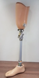 Modular hip prosthesis, including for congenital underdevelopment, PN6-M.1