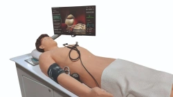 Harvey Plus Cardiac Patient Physical Exam Simulator