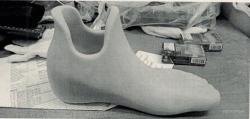Foot prosthesis of the inlay baschmatch type PN0-07