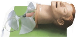 Multifunctional airway model, item FA6251 / 51