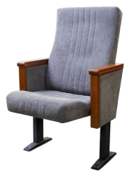 Congress auditorium chair