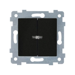 "AKSIOMA" Two-key switch mechanism with lightind. C510-450 "anthracite"