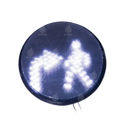LED light blocks (modules) for information section of traffic light traffic light