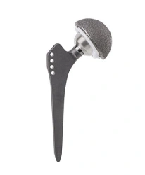 Cementless hip prosthesis with metal-polyethylene friction pair