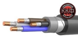 Cable KVVVGEng(A)-FRLS 4h1 kr (0,66) GOST LLC "KKF"