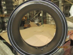 349.3101012-02 Discless wheel