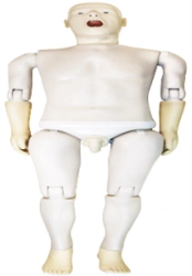 Human phantom for nursing ZiK-29