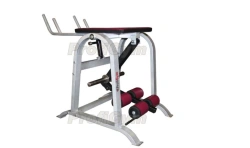 Reverse hyperextension