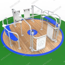 Carousel for wheelchair users and accompanying persons