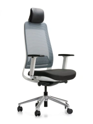 Falcone Armchair FILO-BG