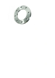 Steel Pipe Flanges