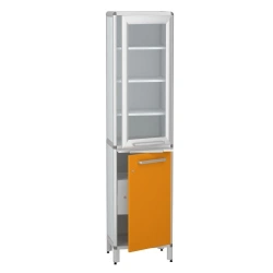 Cabinet for storage of medicines according to TU 32.50.30-007-32924160-2021, article number DM-2-101-11.K2.?2.