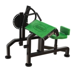 Biceps-triceps machine free weight machine