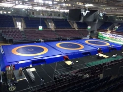 Wrestling platform