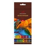 Coloured art pencils "VISTA-ARTISTA" Fine VFCP-24 Set of coloured pencils sharpened 4 x 24 colour.
