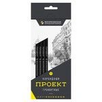 Graphite pencils "VKF" "Project" 12B-4010 Set of sharpened graphite pencils assortment8x12pcs.