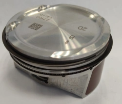 Piston assembly 081N802