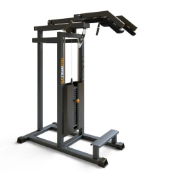 BF-119 Standing shin machine