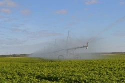 Sprinkler machine "CORVET" modification DMUM-11A-308