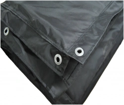 Curtain canopy