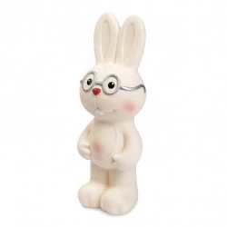 Rabbit in glasses