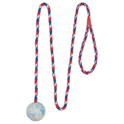 Ball on a rope for dogs