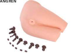 Simulator for rectal examination LV39A / CS6254
