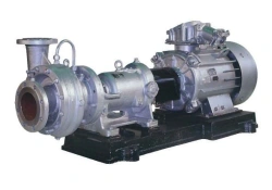 Electric pumping unit of "NK" type