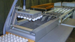 Equipment for packing eggs MC9-24