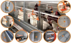 Poultry equipment for parent stock of laying hens, model EV-P 1250