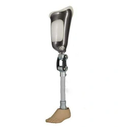 Modular hip prosthesis, including for congenital underdevelopment PH6-77.