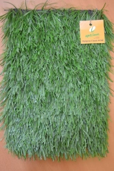 Artificial grass Optigrass Classic 40 MF