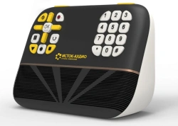 Special device for reading "talking books" on flash-cards: "Smart Bee" tifloflash player.