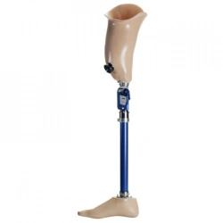 8-07-05 Bathing hip prosthesis