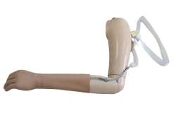 Active shoulder prosthesis PR4-22