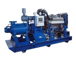 Diesel pumping unit model DNU(Oil)-180/212