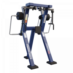 Arm extension in standing position with variable load